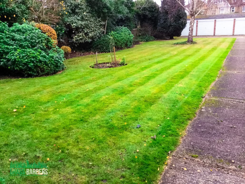 Croydon grounds maintenance