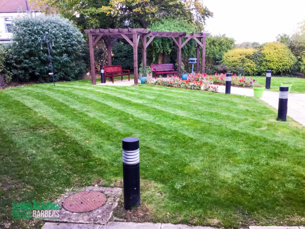 Mitcham grounds maintenance