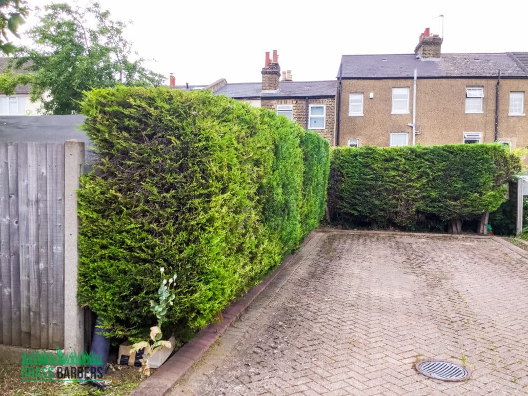 Sutton grounds maintenance