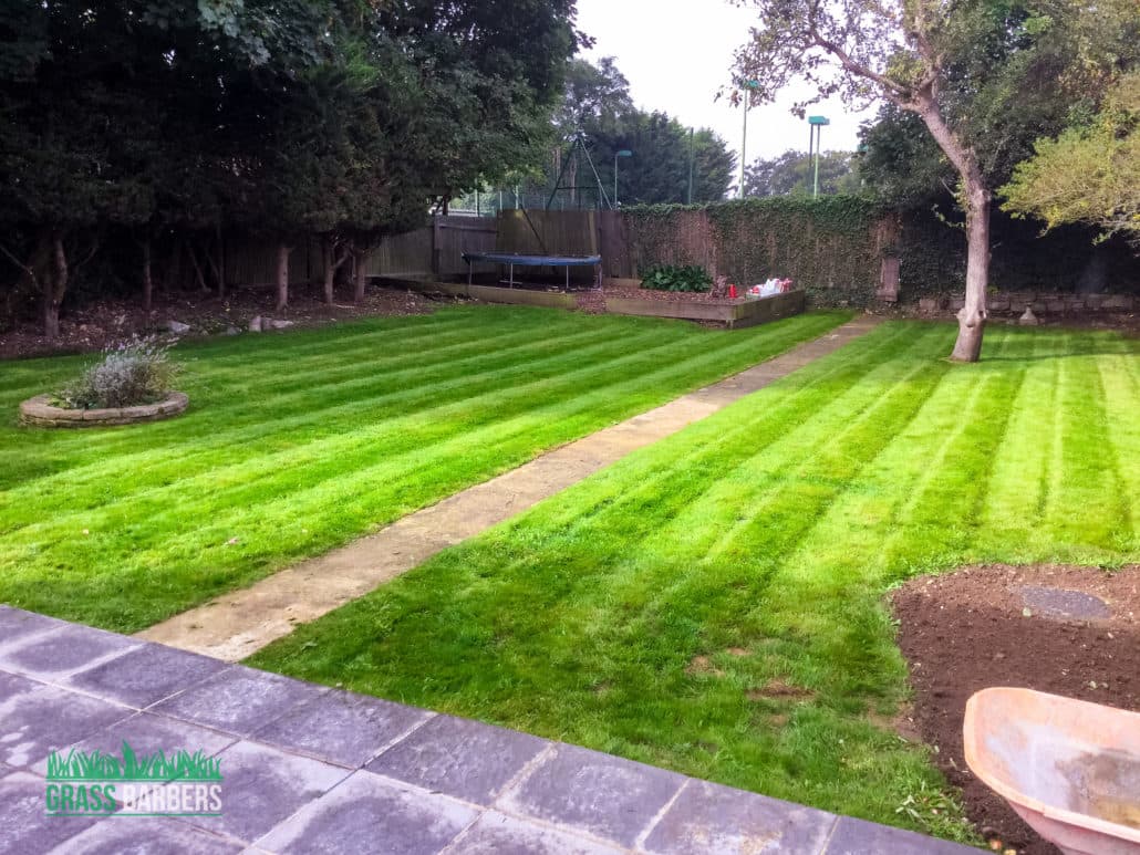 Garden Clearance Project in Carshalton SM5