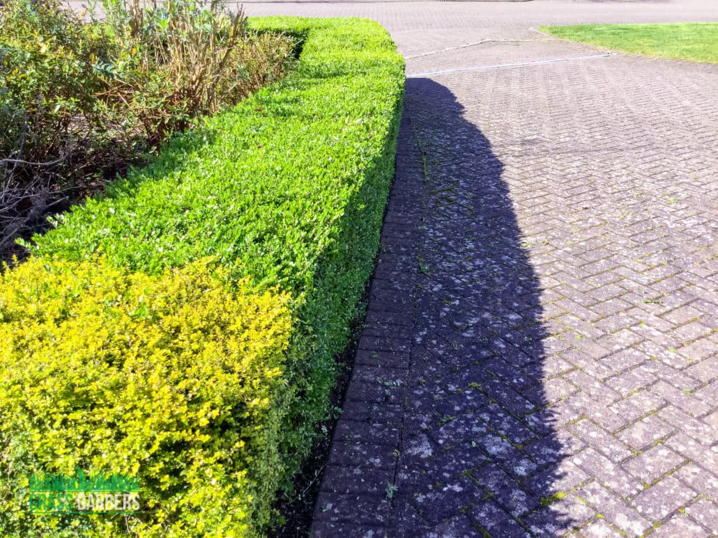 Purley grounds maintenance