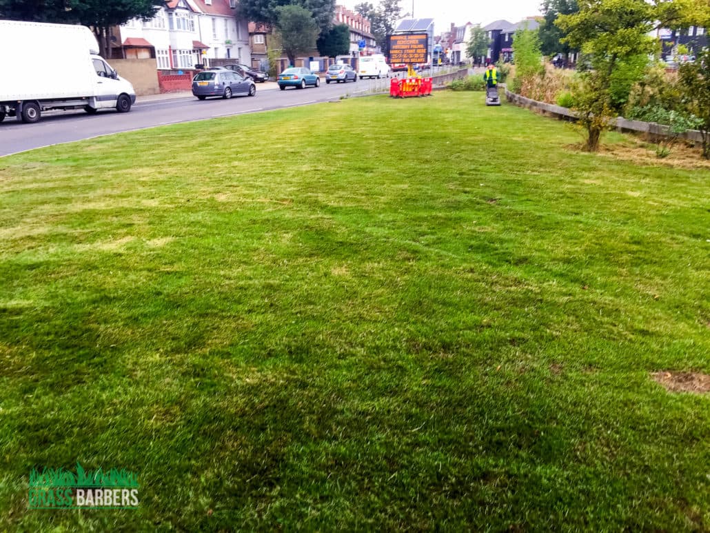 Mitcham grounds maintenance