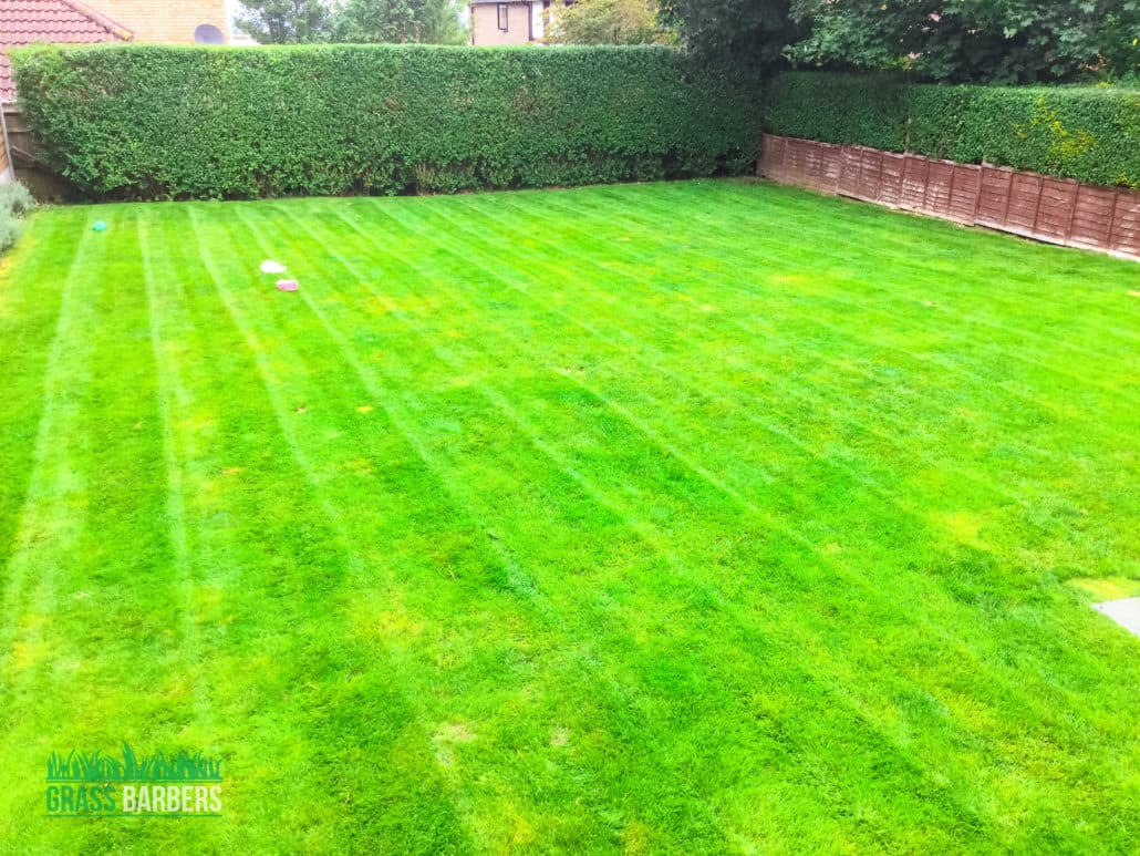 Purley grounds maintenance
