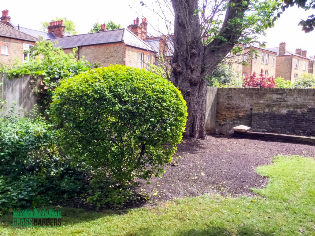 Clapham grounds maintenance