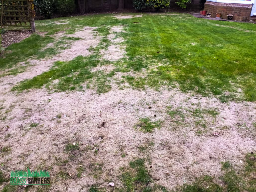 Sutton grounds maintenance