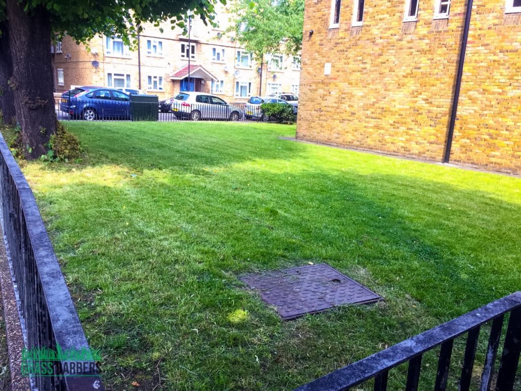 Streatham grounds maintenance