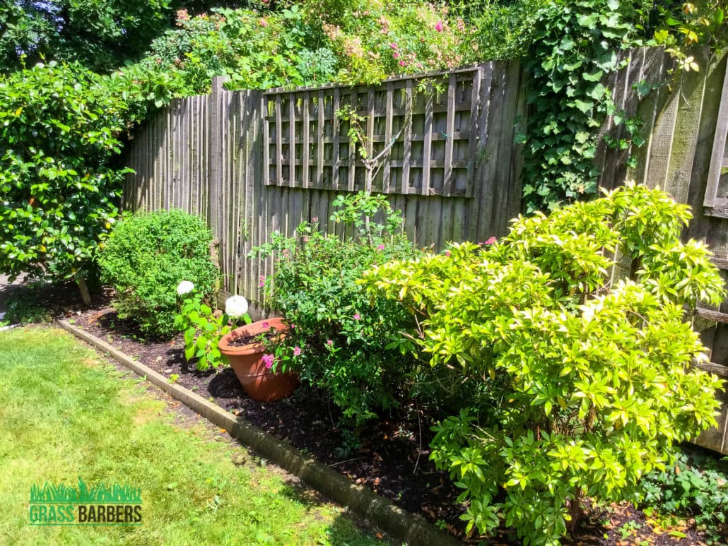 Garden Maintenance Project in Shirley CR0