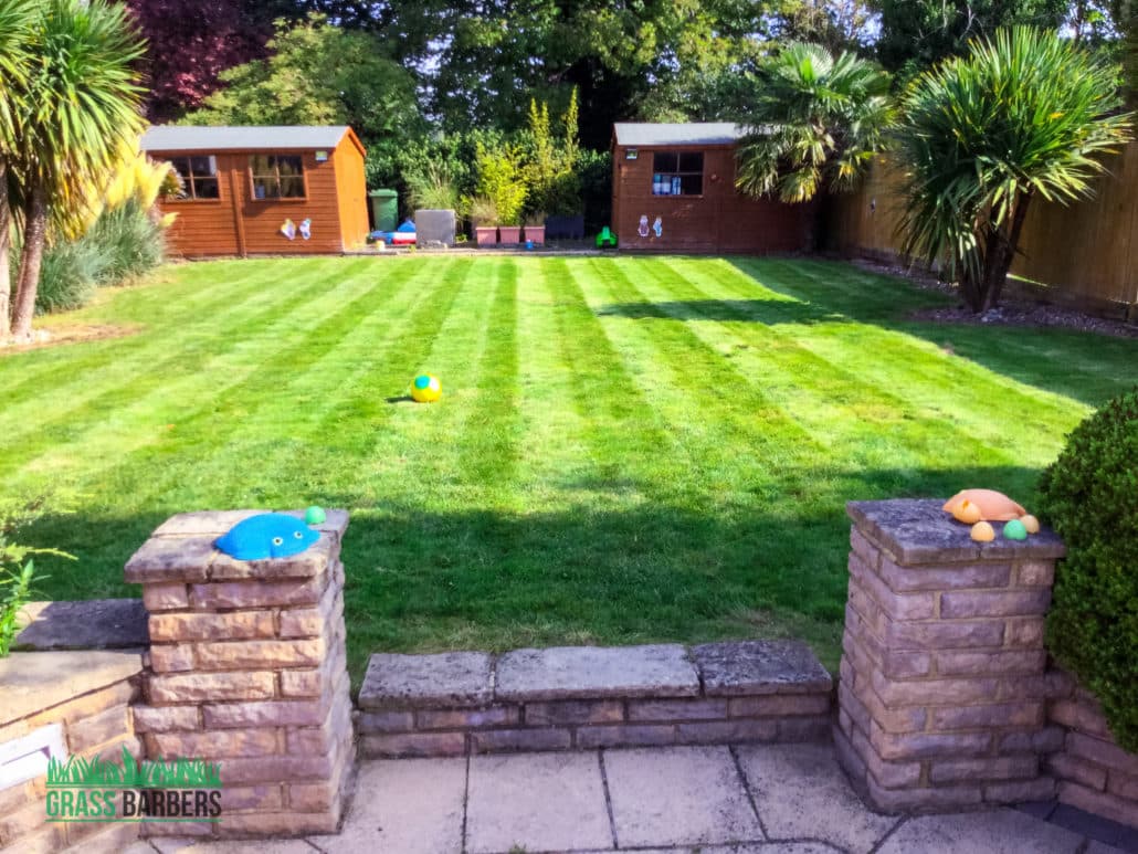 Croydon grounds maintenance