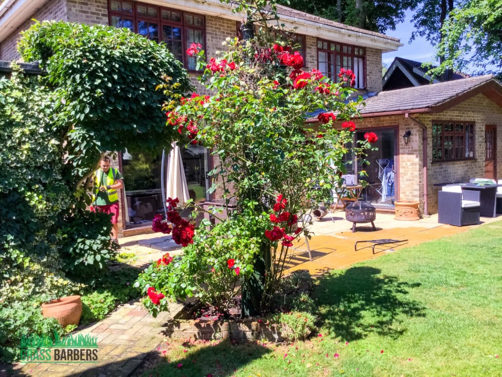 Garden Maintenance Project in Tatsfield TN16