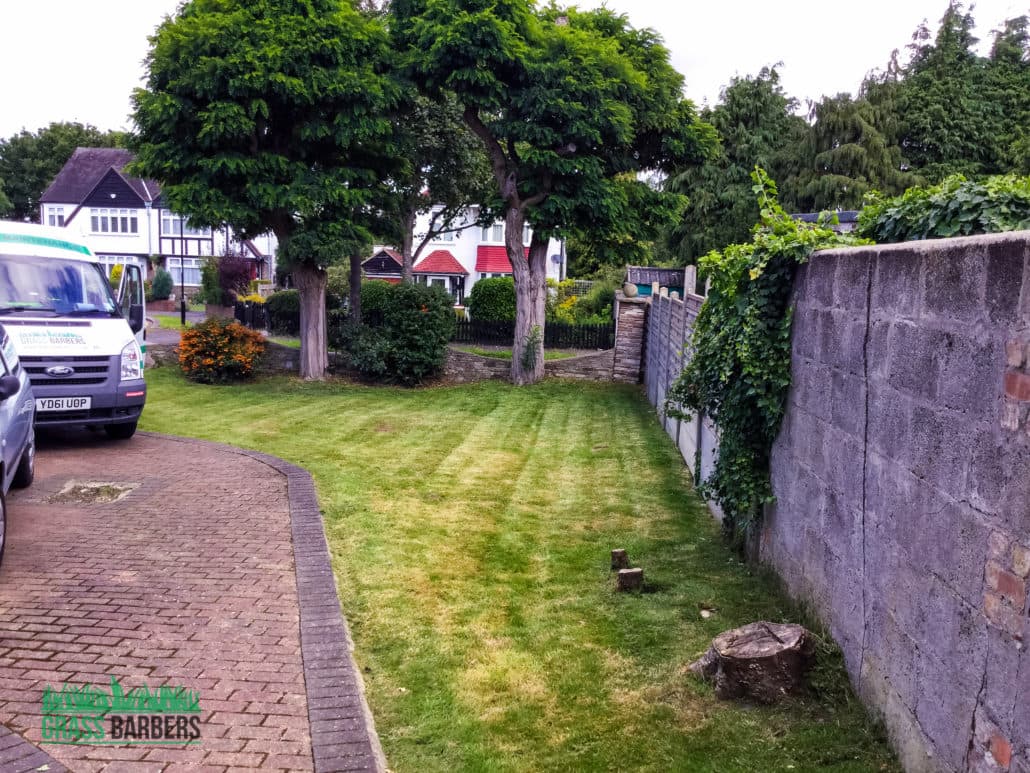 Croydon grounds maintenance