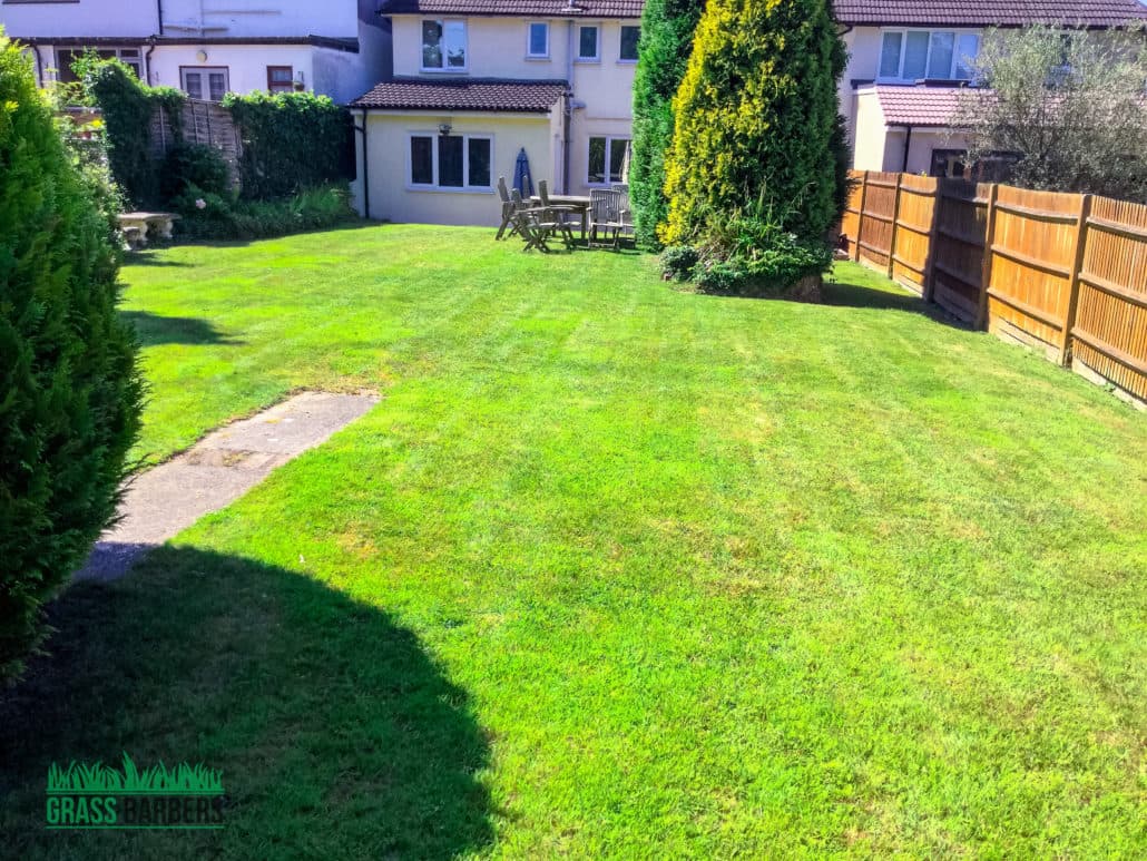 Grass Cutting and Gardening Project in Selsdon CR2