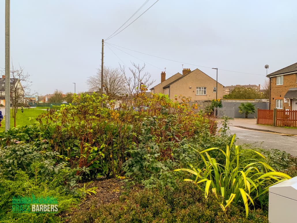 Mitcham grounds maintenance