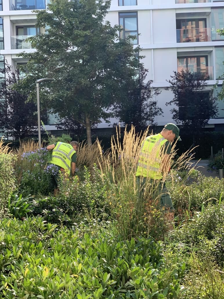 Clapham grounds maintenance