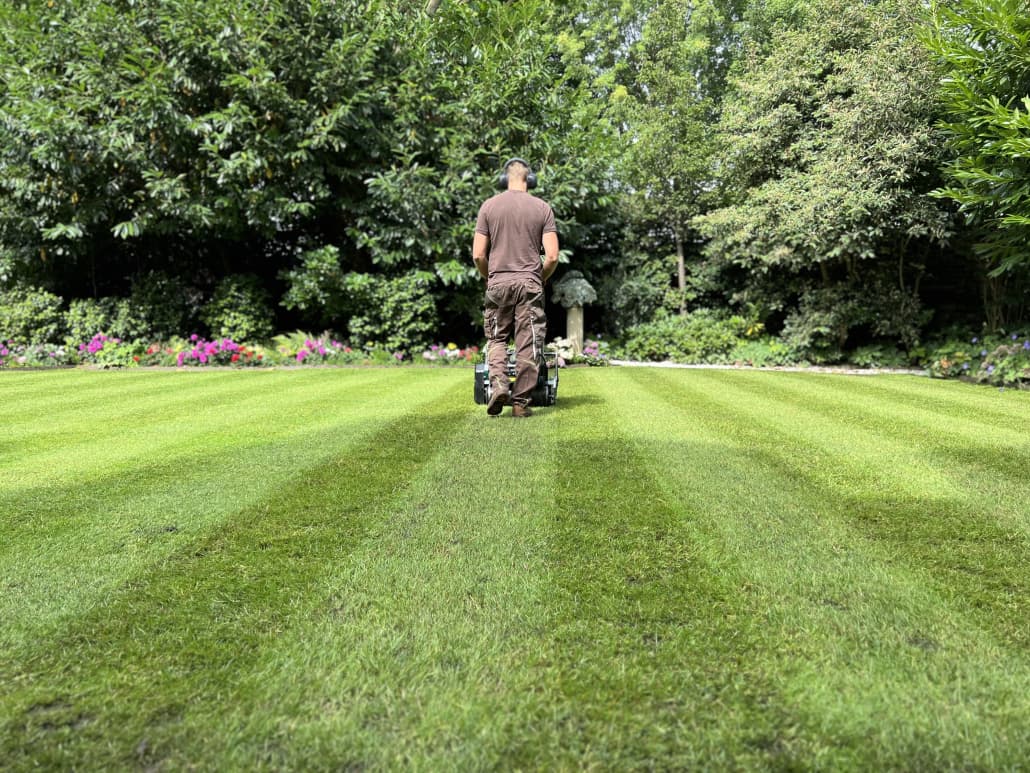 Clapham grounds maintenance