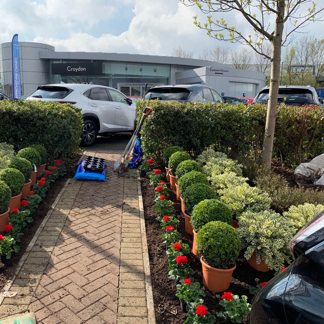 Commercial site after professional vegetation management and site clearance