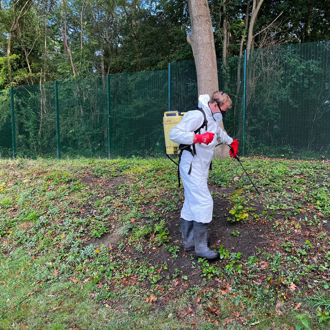 Corporate grounds showing clear window lines, precision hedging, and pristine hard surfaces