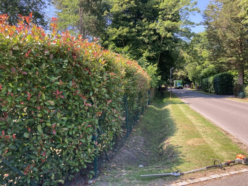 Hedge before formal shaping