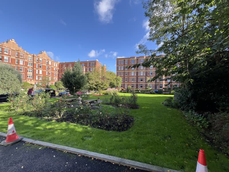 Professionally restored turf featuring high-definition lawn stripes and healthy grass density after horticultural treatment