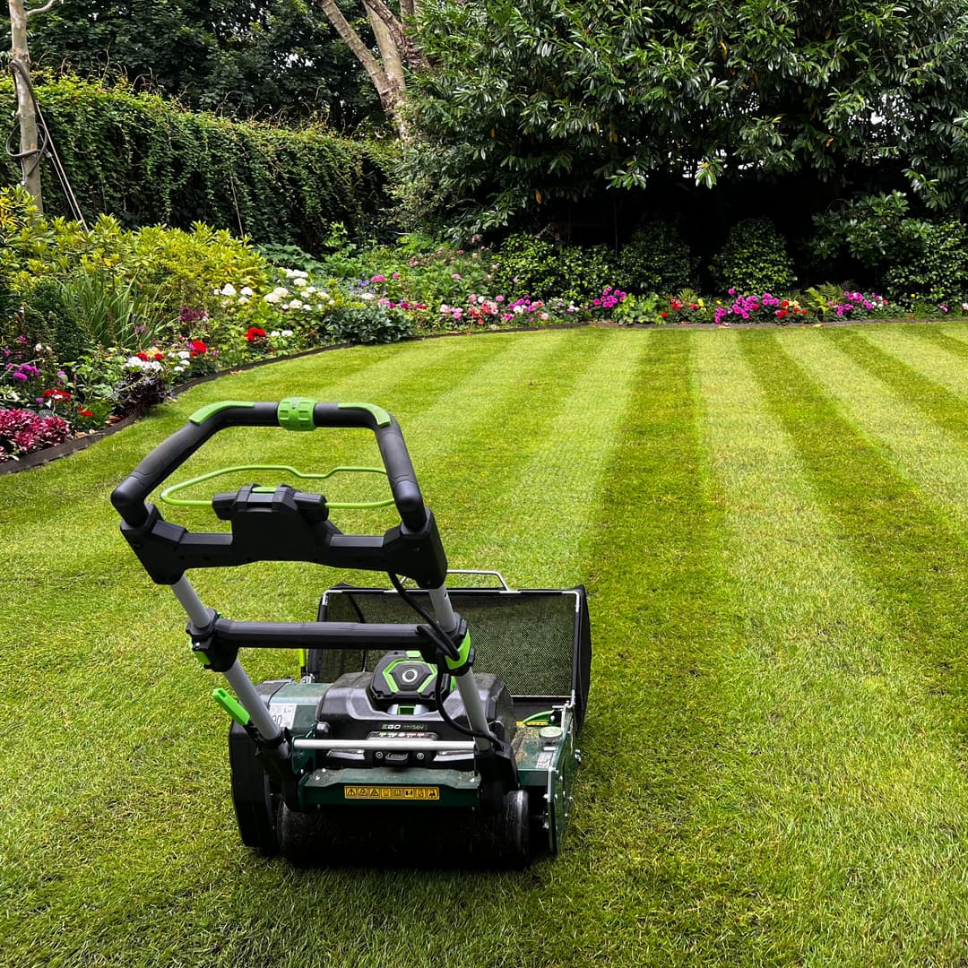 Manicured lawn edges showing sharp property line definition and professional boundary care after expert horticultural maintenance