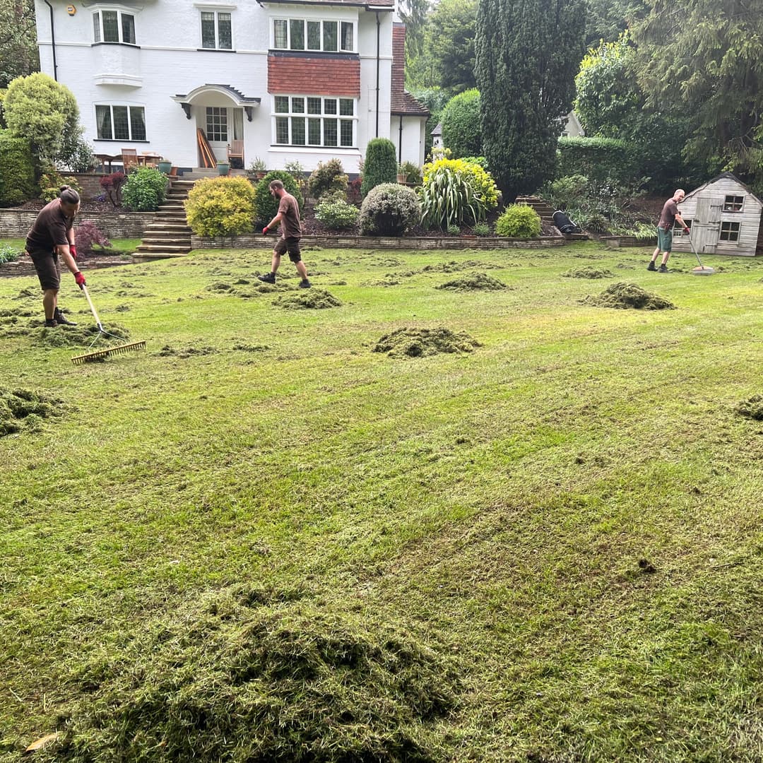 Neglected residential garden with overgrown bushes and weeds before professional clearance