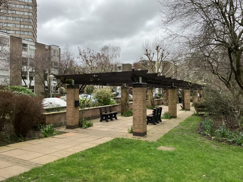 Commercial site after professional winter shrub reduction and mulch application