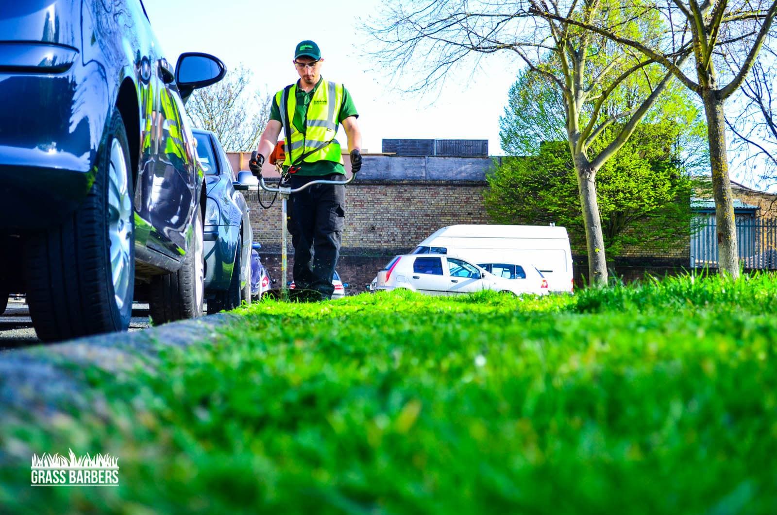 Grass Barbers providing professional commercial grounds maintenance for a London corporate office