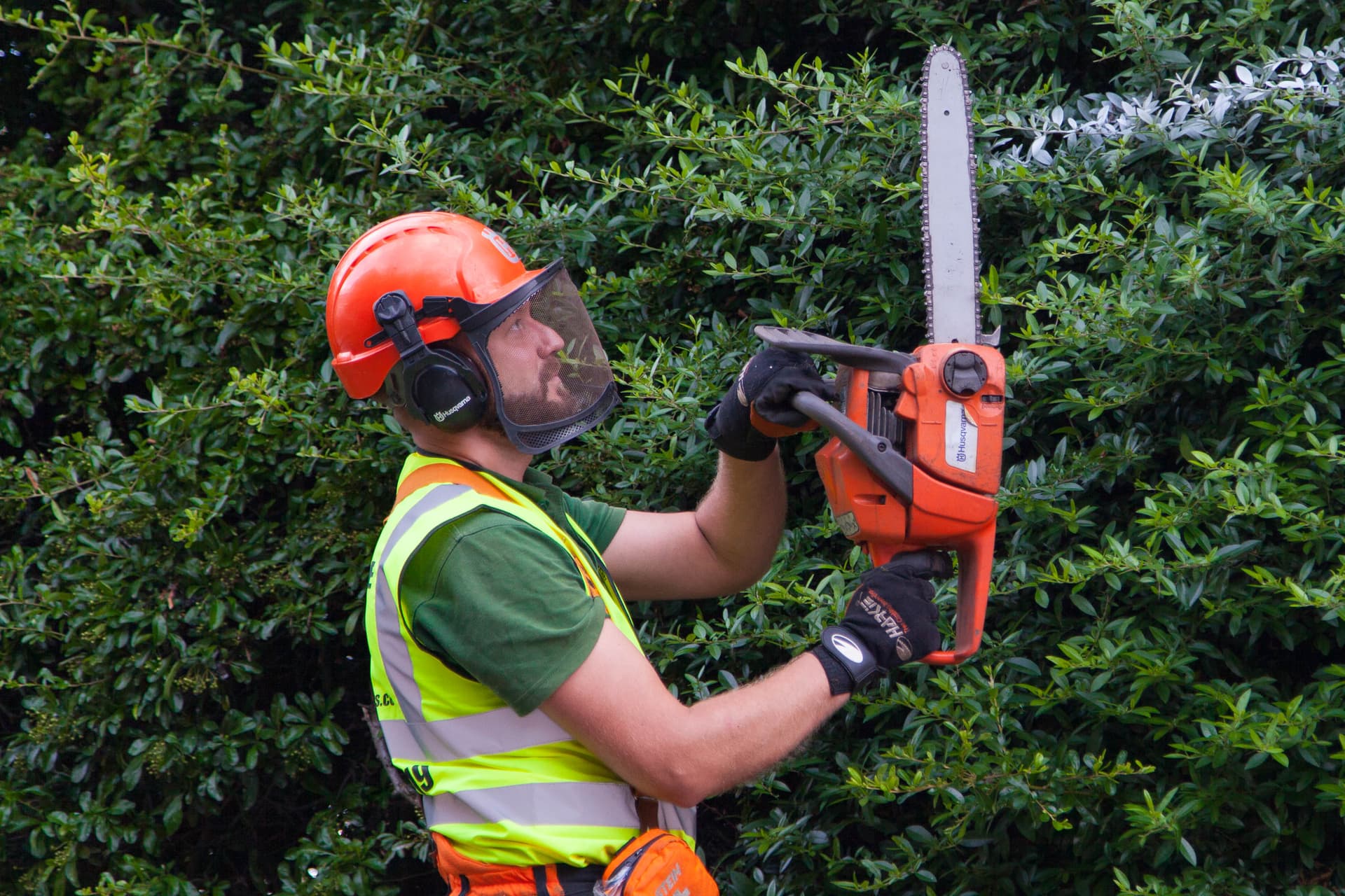 Grass Barbers licensed operator performing a technical hedge reduction with specialised equipment