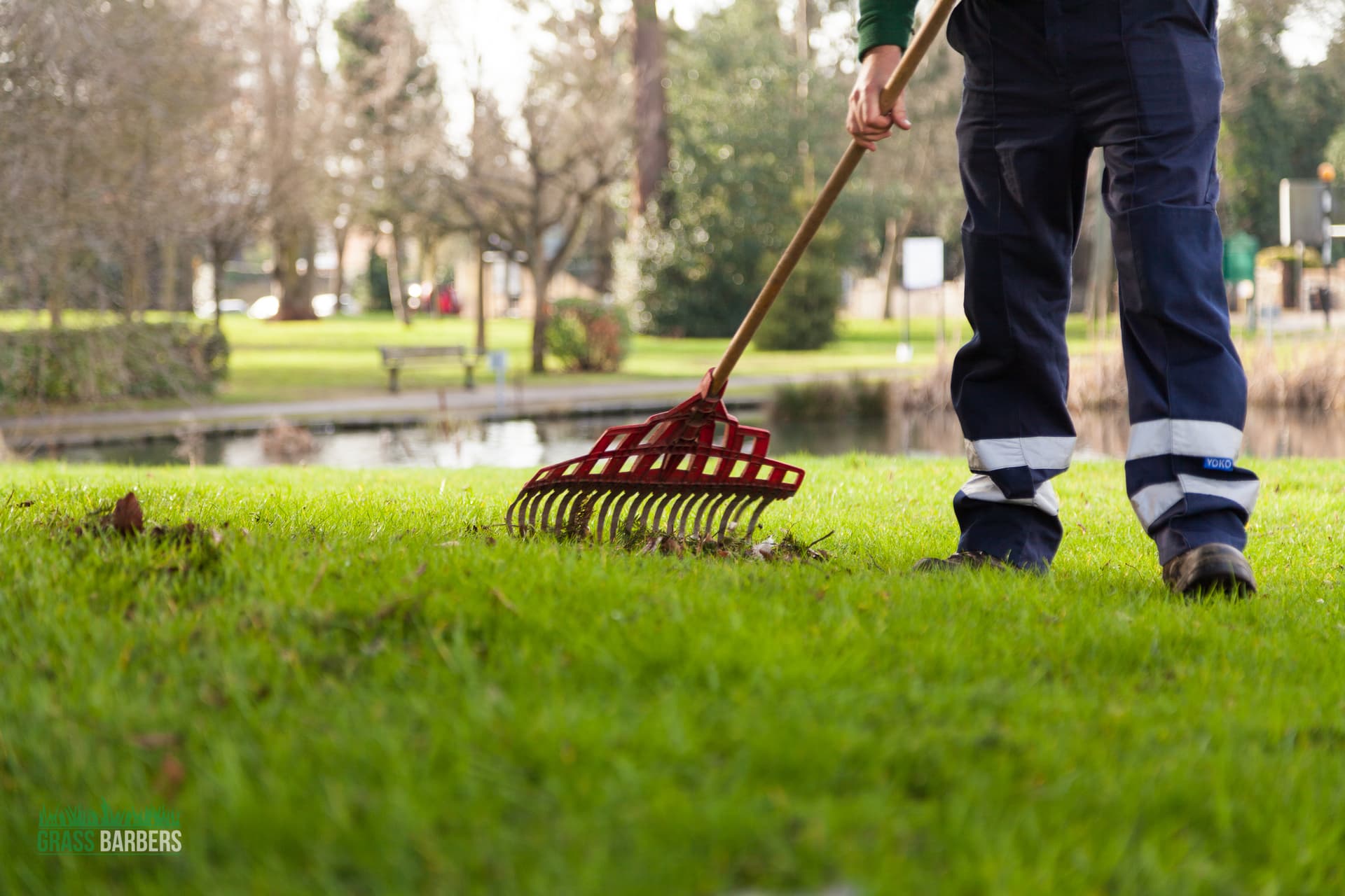 Grass Barbers providing precision lawn mowing and restoration in London