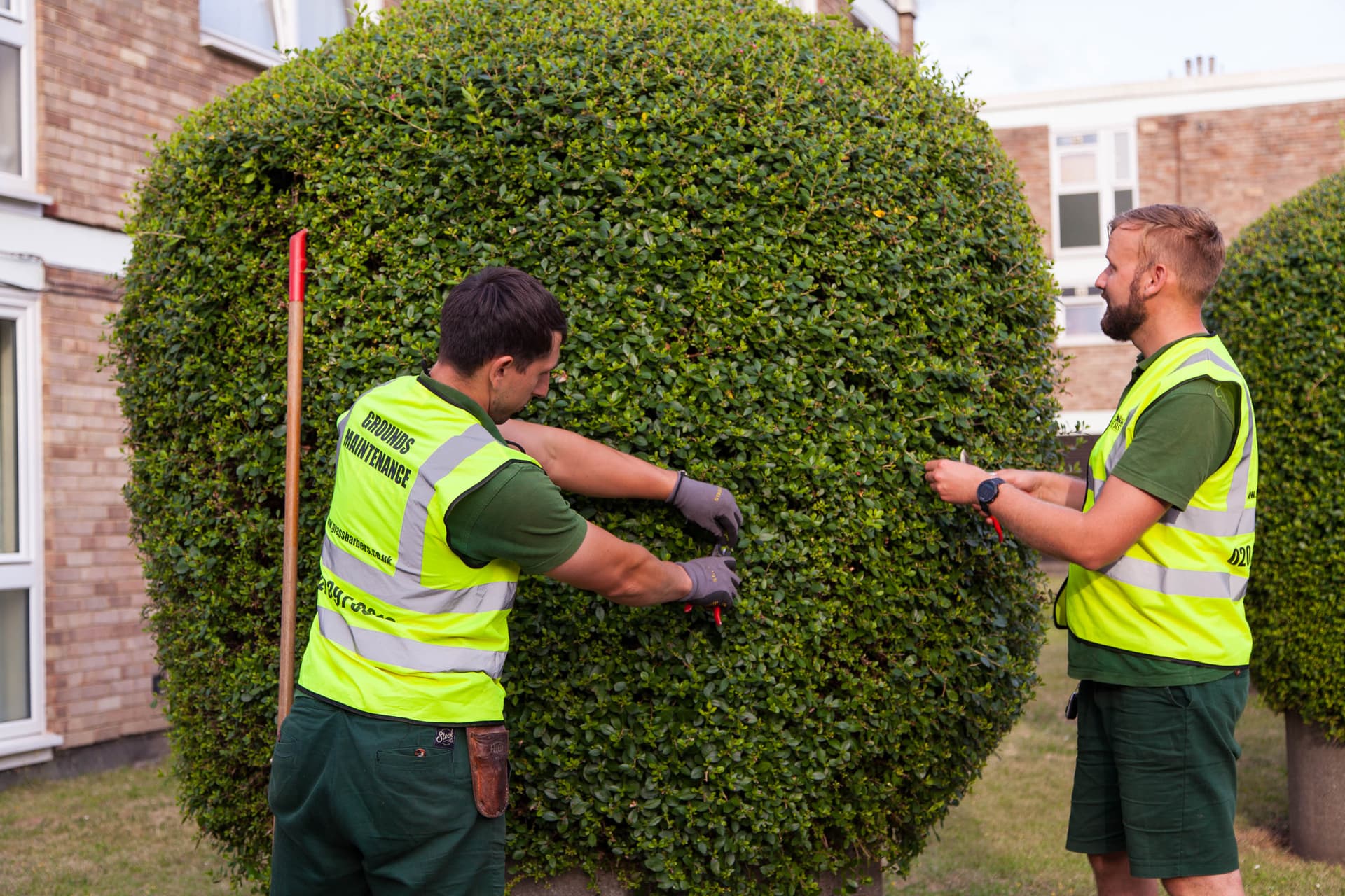 Grass Barbers gardening ninjas providing professional residential maintenance and garden clearance in London and Surrey