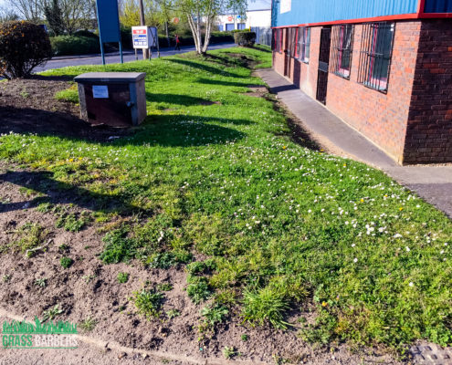 Commercial Grounds Maintenance Project in Croydon CR0